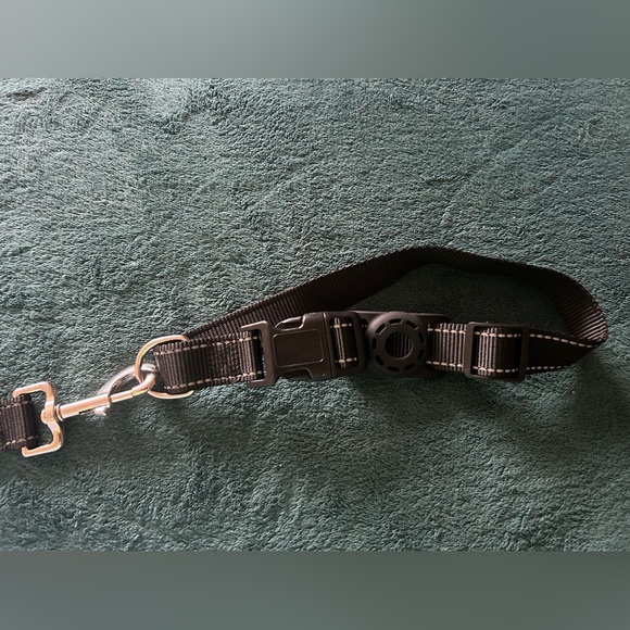 Other - Dog leash- new 5 ft with collar -black